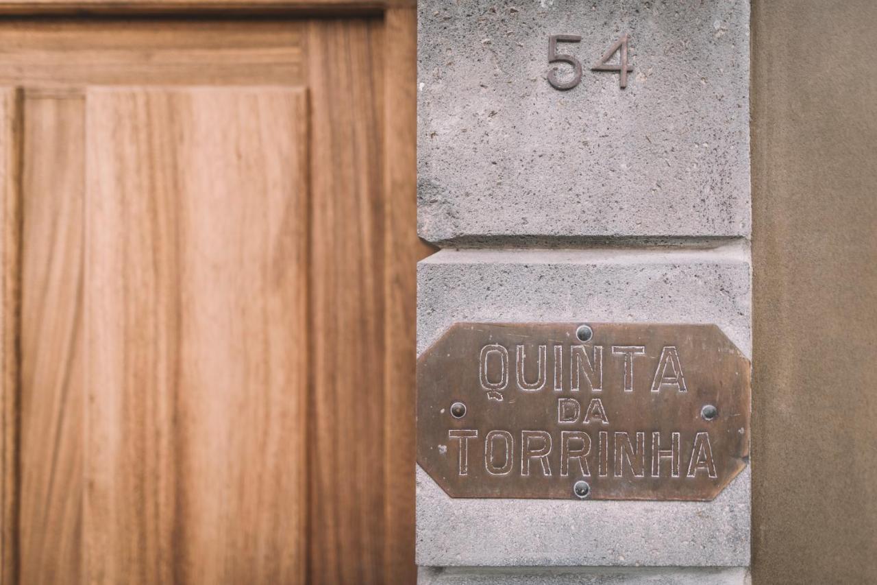 Torrinha Luxo Dream Wohnung فونشال المظهر الخارجي الصورة