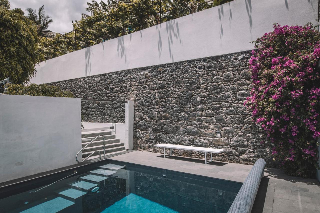 Torrinha Luxo Dream Wohnung فونشال المظهر الخارجي الصورة